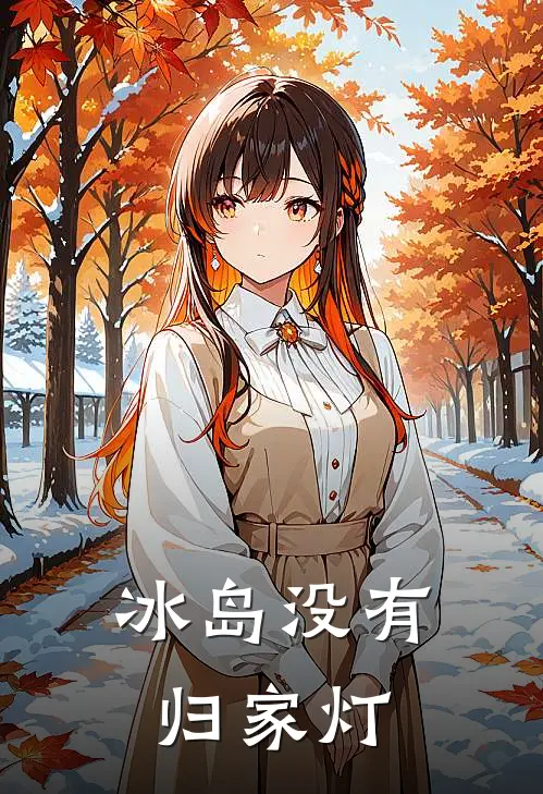 冰岛没有归家灯