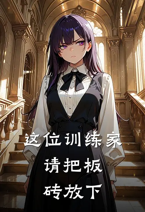 这位训练家，请把板砖放下